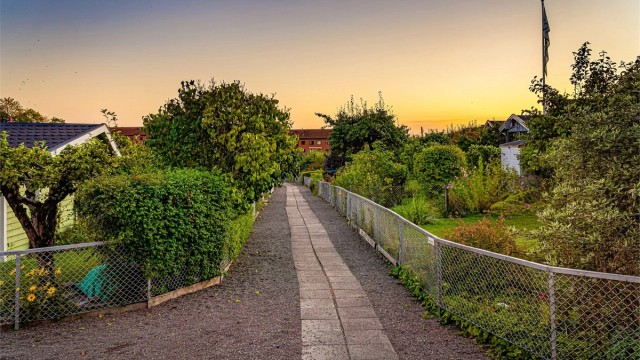 Sjarmerende Rodeløkkas kolonihager.