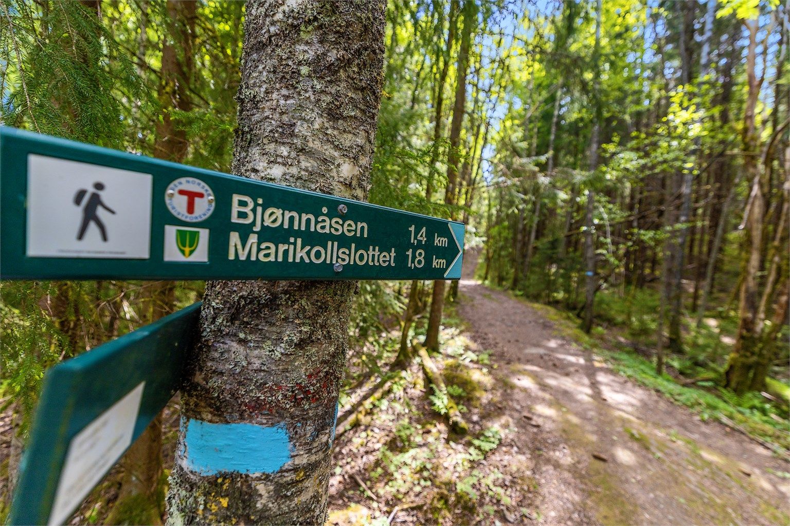 Turstiene starter rett i nærheten og leder inn i marka, med merkede løyper til blant annet Bjønnåsen og Marikollslottet.