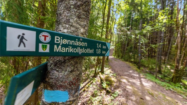 Turstiene starter rett i nærheten og leder inn i marka, med merkede løyper til blant annet Bjønnåsen og Marikollslottet.