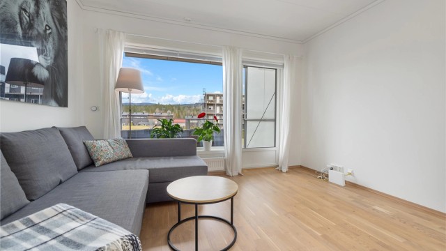 Lys og koselig stue med fin plass til sofakrok