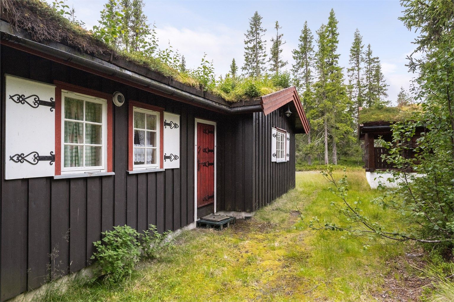 Inngangspartiet til hytta. 