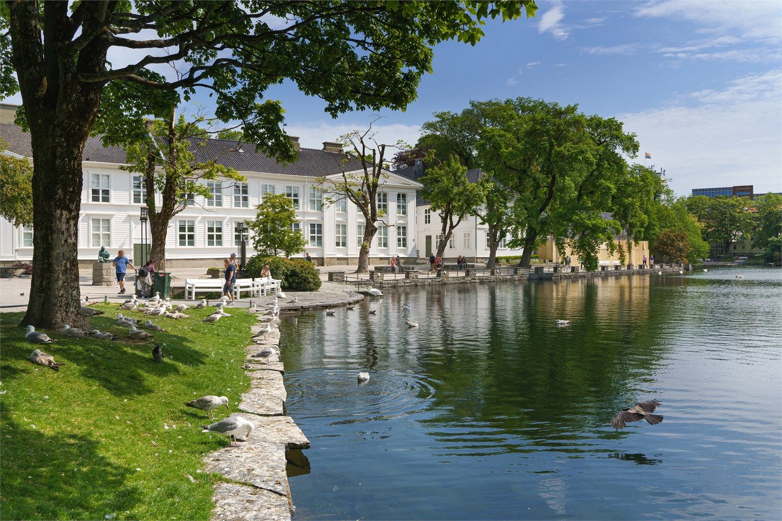 Stavanger sentrum og alle dens fasiliteter like utenfor døren.