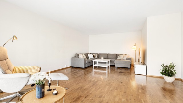 Attraktiv stue med muligheter for flere soner.