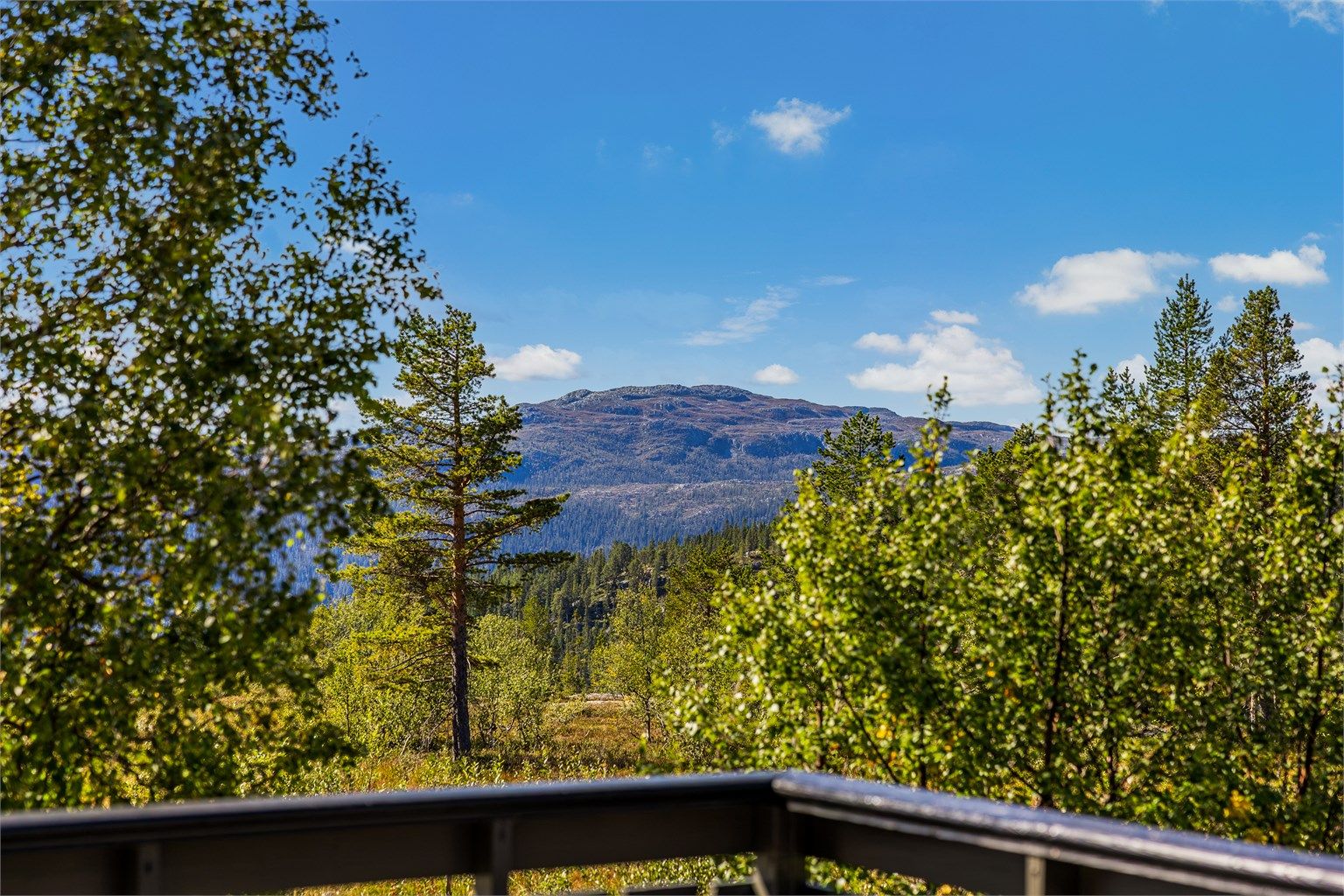 Utsikt fra sydvestvendt terrasse.