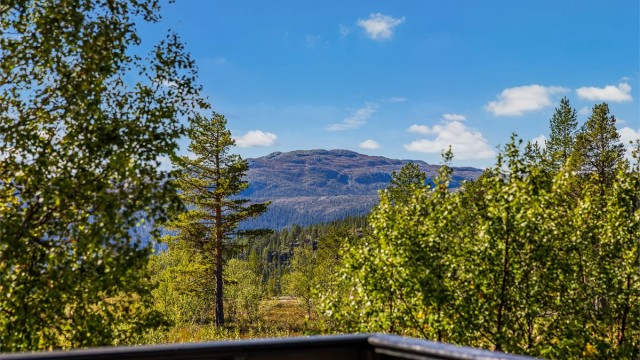 Utsikt fra sydvestvendt terrasse.