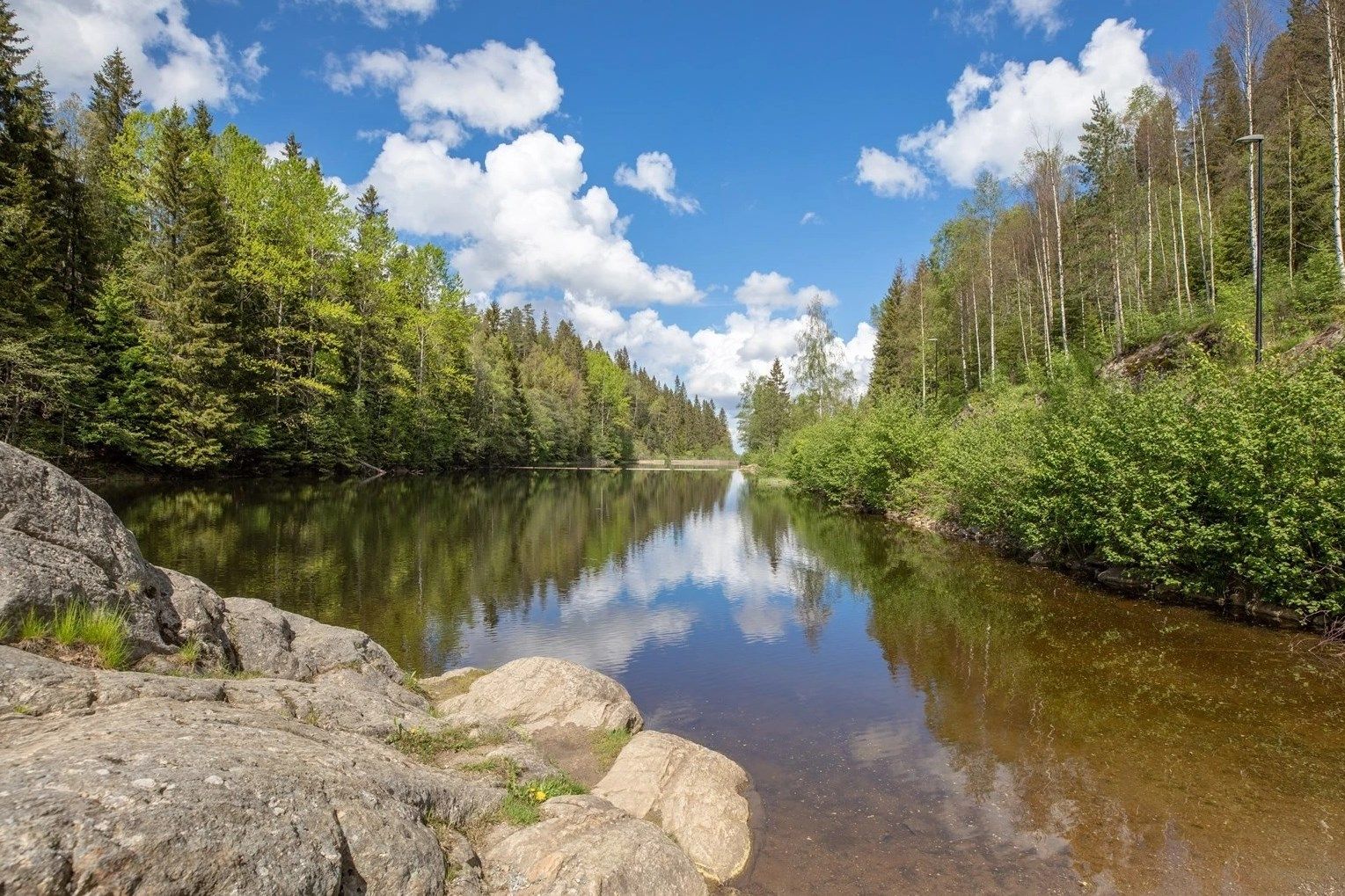 Åmotdammen. 