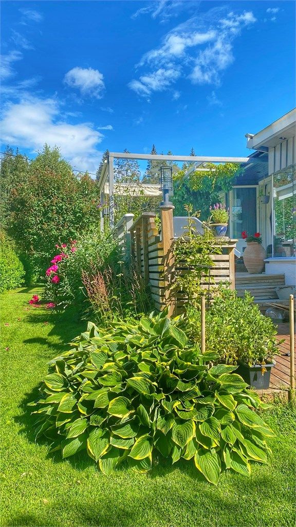 Selgers bilde fra sommer
