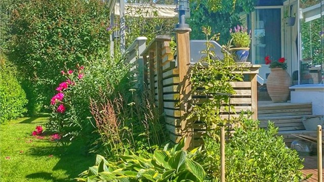 Selgers bilde fra sommer