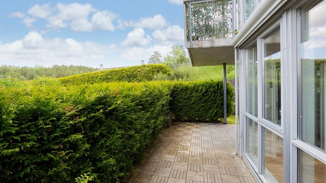 Uteplassen er skjermet av en hekk, som gir en privat og usjenert atmosfære.