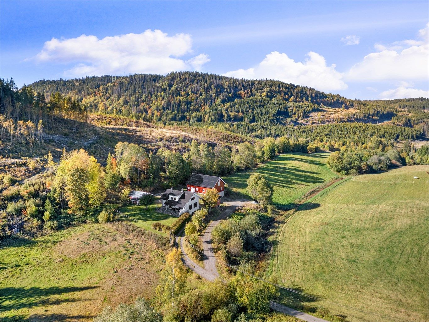 Kort kjørevei til dagligvarehandel på Kiwi Lierskogen og til en meget populær lokal italiensk restaurant (La Trattoria) på Lierskogen.