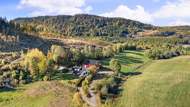 Kort kjørevei til dagligvarehandel på Kiwi Lierskogen og til en meget populær lokal italiensk restaurant (La Trattoria) på Lierskogen.