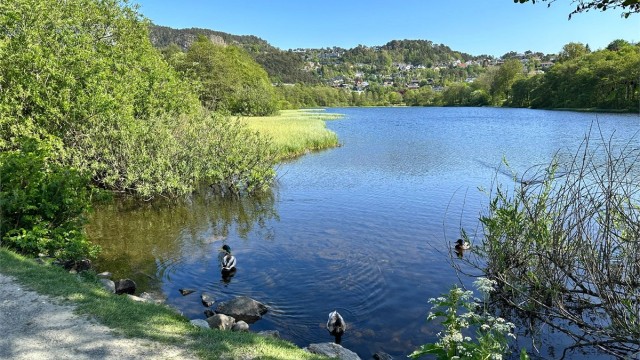 - Turstien rundt Ortuvannet er perfekt hverdagsmosjon i naturskjønne omgivelser -