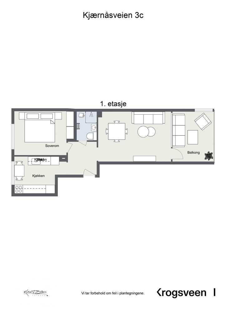 Planskisse