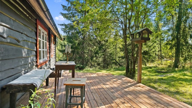 Solfylt skjermet terrasse med skogen som nabo