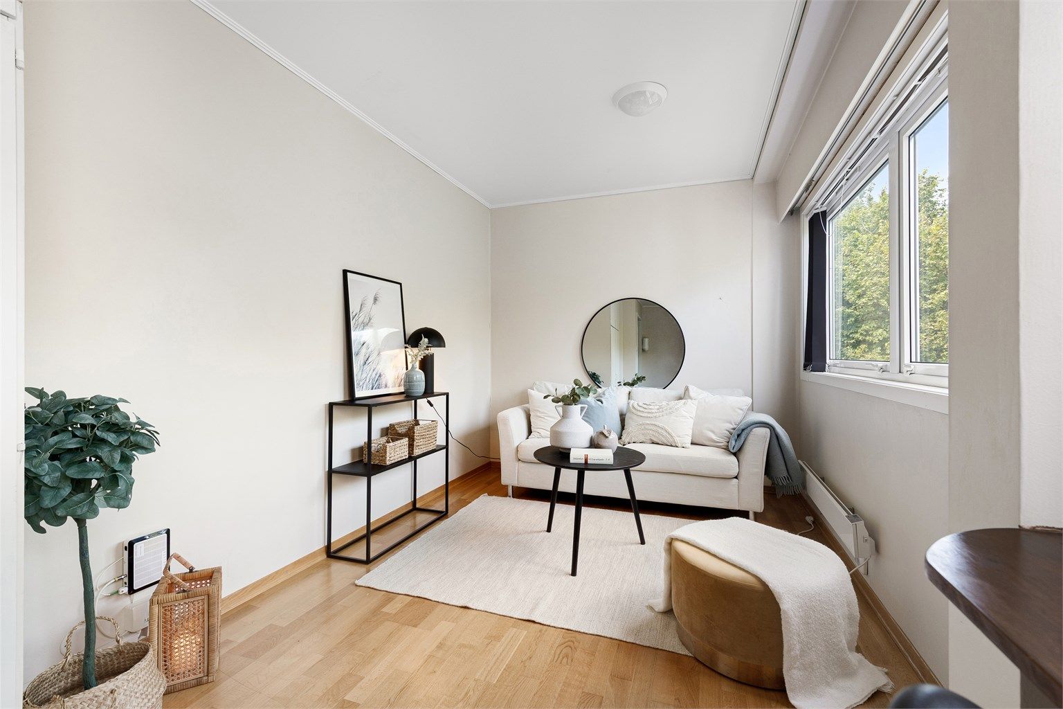 Stue/kjøkken og soverom i ett