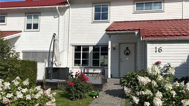 Hage/terrasse/inngang - Selgers bilde