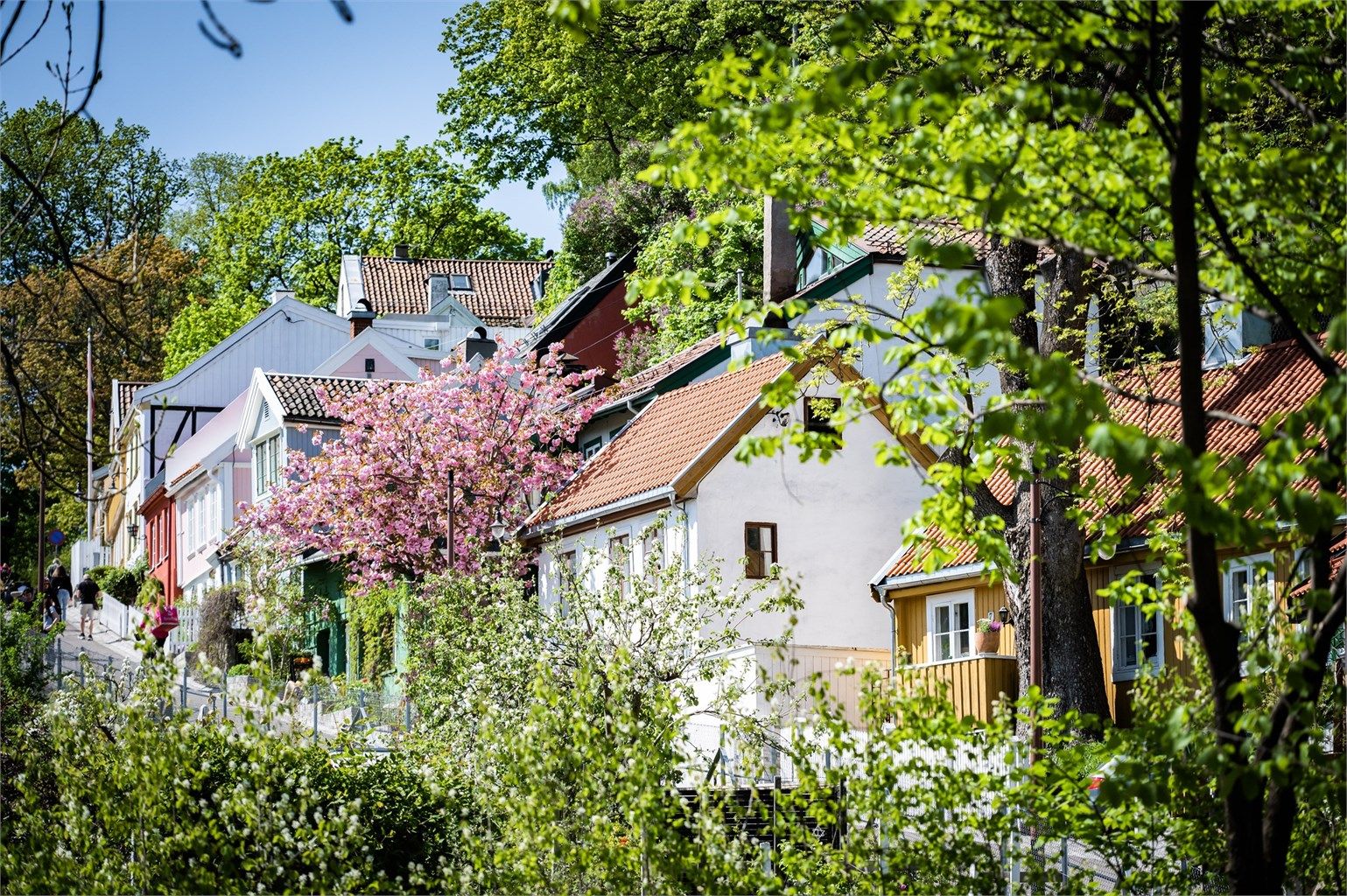 Fredensborg er kanskje en av byens mest sjarmerende områder. 