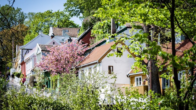 Fredensborg er kanskje en av byens mest sjarmerende områder.