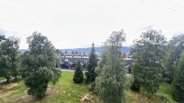 Utsikt - Nærområdet (privat bilde)