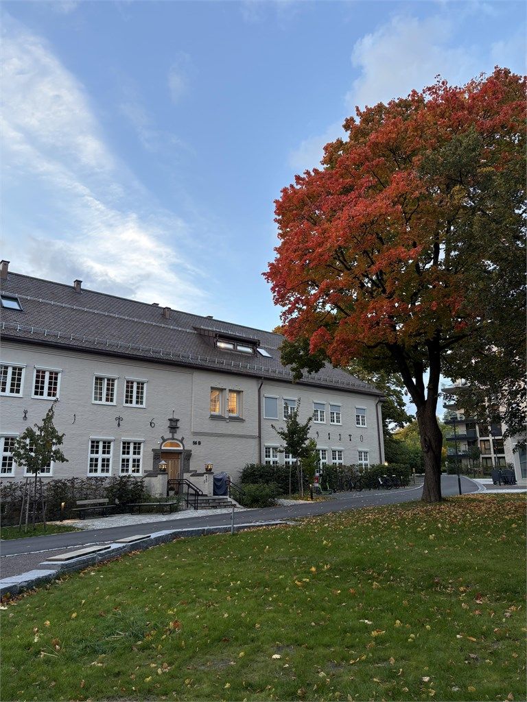 Stemningsbilde høst.