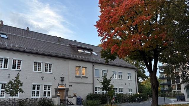 Stemningsbilde høst.