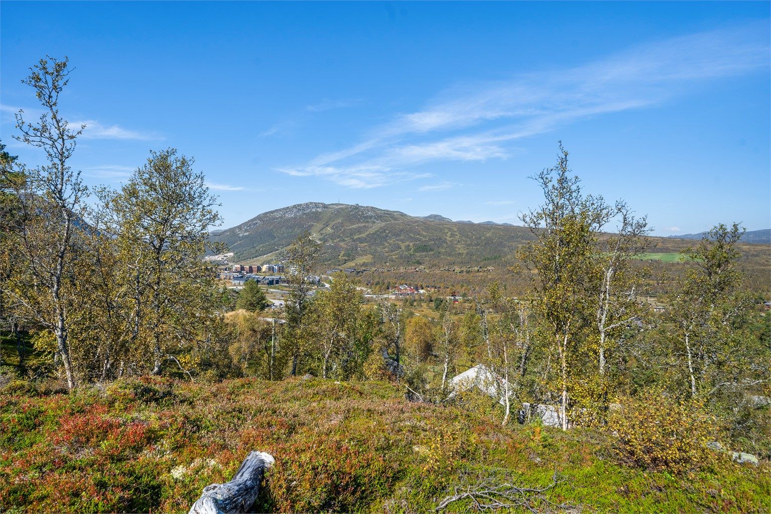 Utsikten mot skisenter og Vidmyr fra uteplassen.