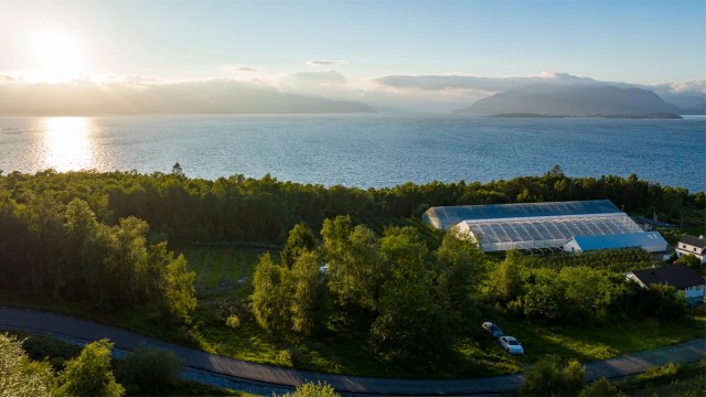 Tomt med nærhet til sjø og flott natur.