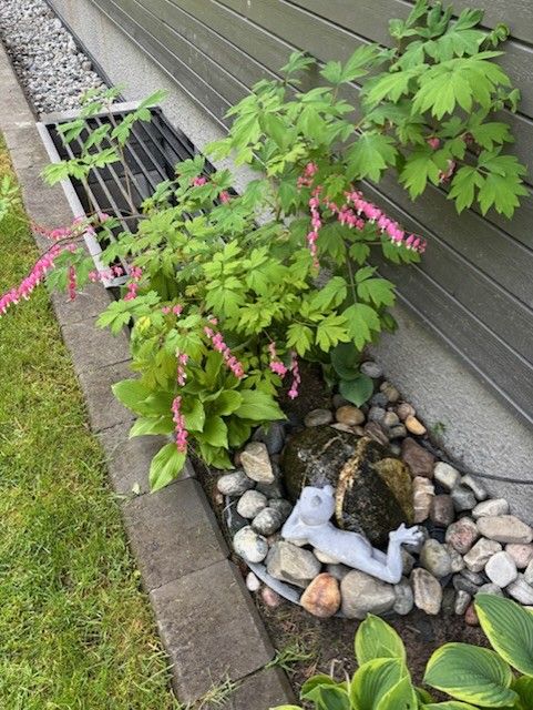Beplantnings - Selgers bilde.