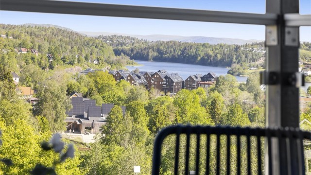 Utsikt fra altanen!