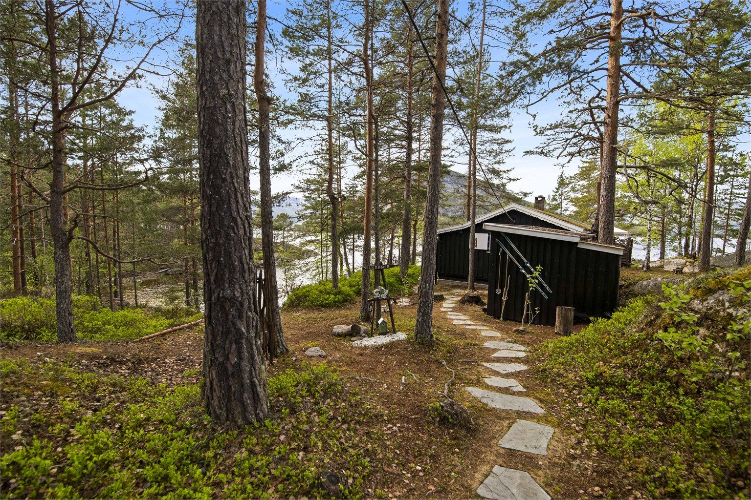 Sti gjennom skogen på egen tomt.