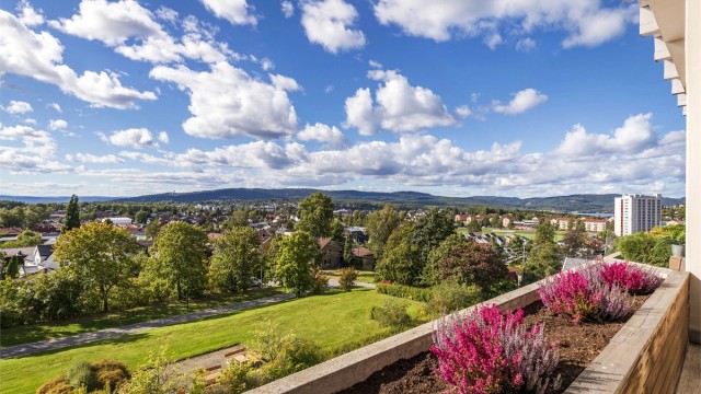 Det er flott utsikt over nærområdet, sameiets parkanlegg og mot Holmenkollen, sentrum/fjorden og Maridalsvannet.