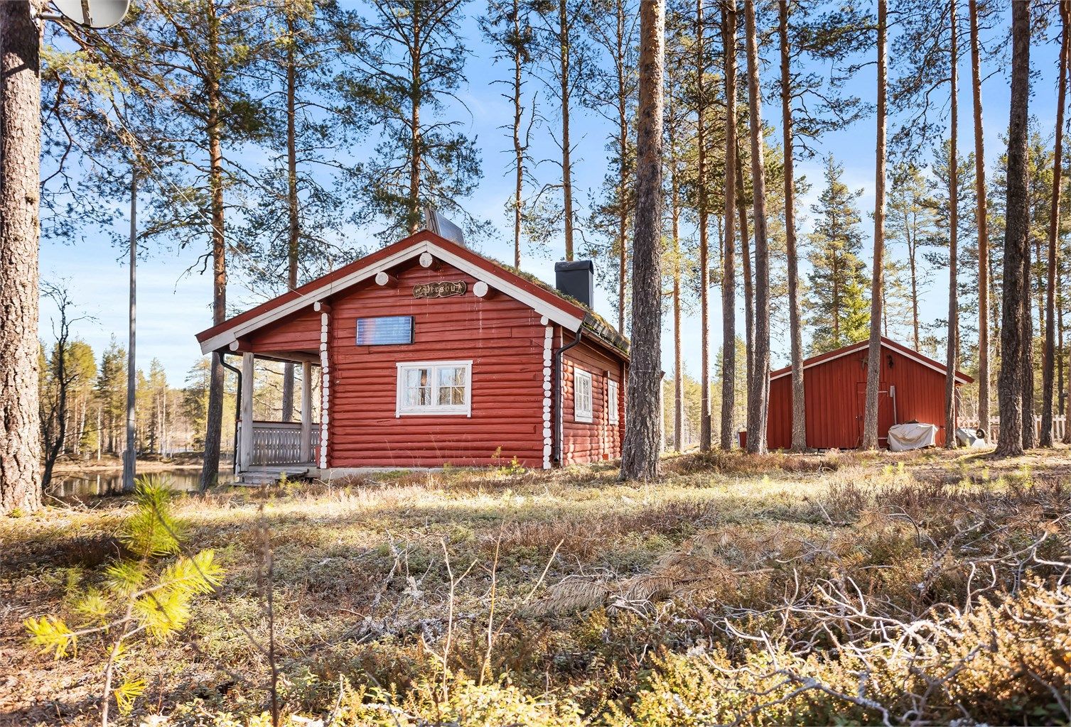 Hytta ligger usjenert til, omgitt av høyreist furuskog.