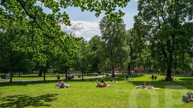 Kun en kort spasertur unna ligger Sofienbergparken, et populært samlingspunkt for grilling og sosialt samvær.