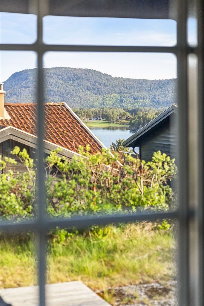 Nyt utsikten til skog og vann.
