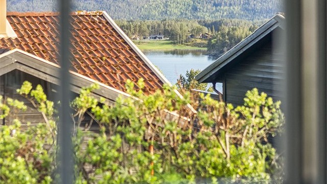 Nyt utsikten til skog og vann.