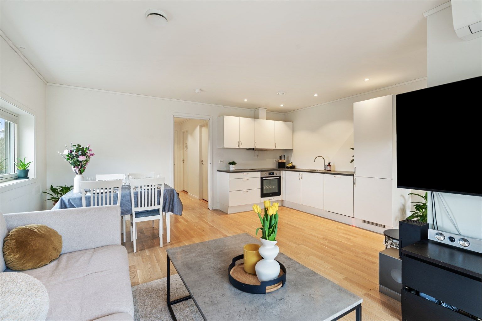 Selveierleilighet fra 2018.