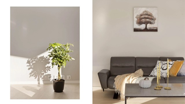 Nymalte vegger og nylagt gulv gir et lyst og helhetlig uttrykk, og danner et nøytralt lerret for din egen stil. Her er det bare å flytte inn og sette sitt eget preg på hjemmet.