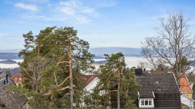 Utsikt over øyene i Oslofjorden.