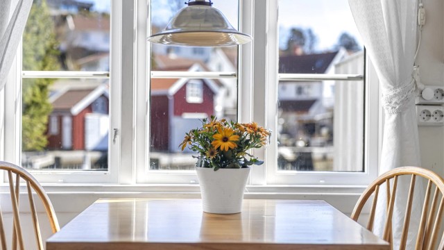 Utsikt fra kjøkkenvinduet.