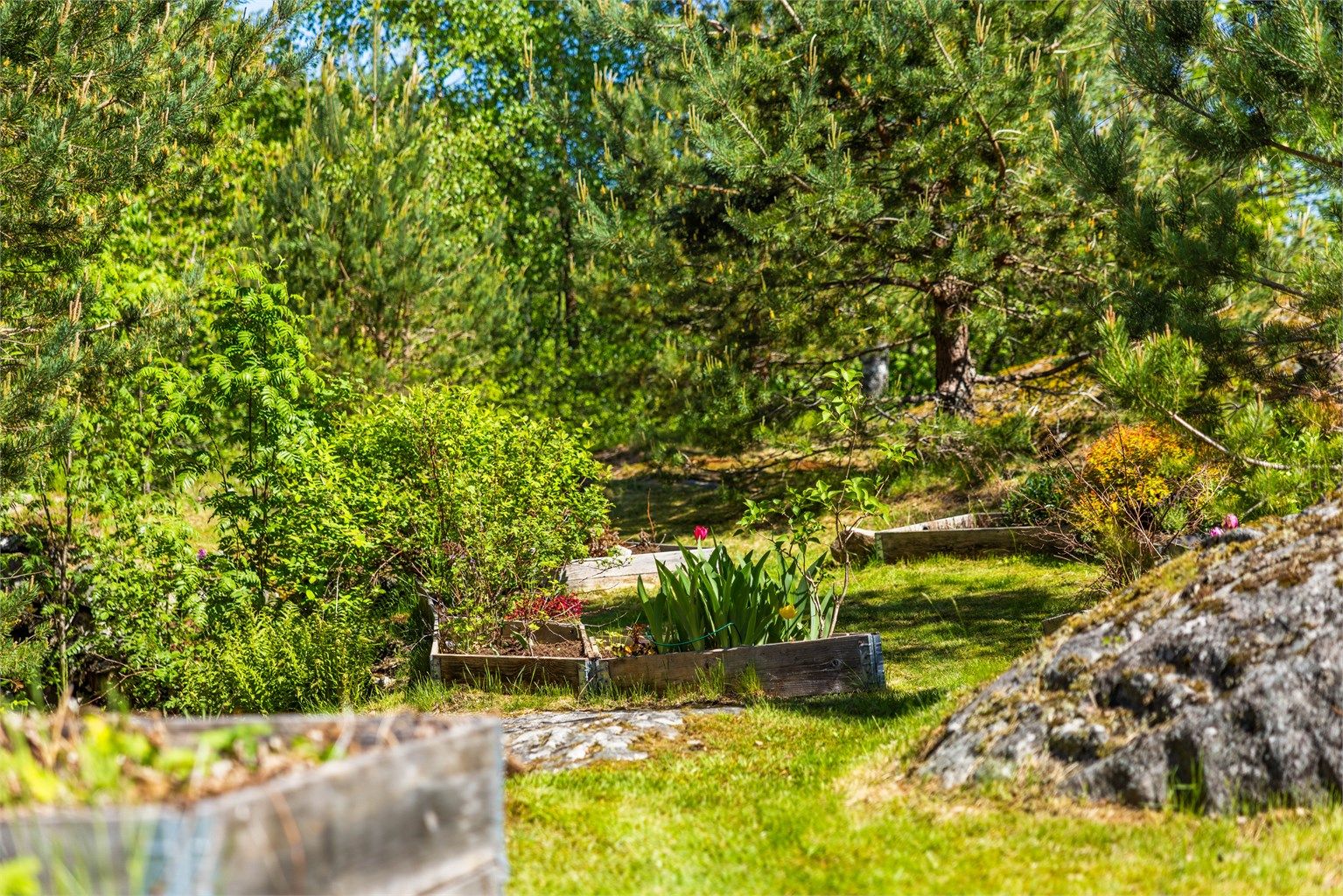 Tomten er opparbeidet med plenarealer, grus og beplantning.