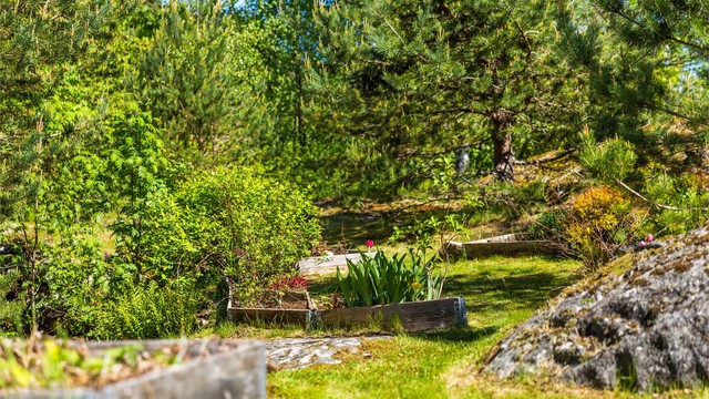Tomten er opparbeidet med plenarealer, grus og beplantning.