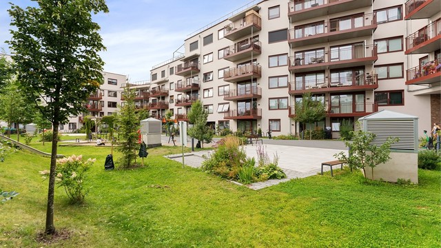 Felles bakgård som er opparbeidet med lekeplass, plen og beplantning.