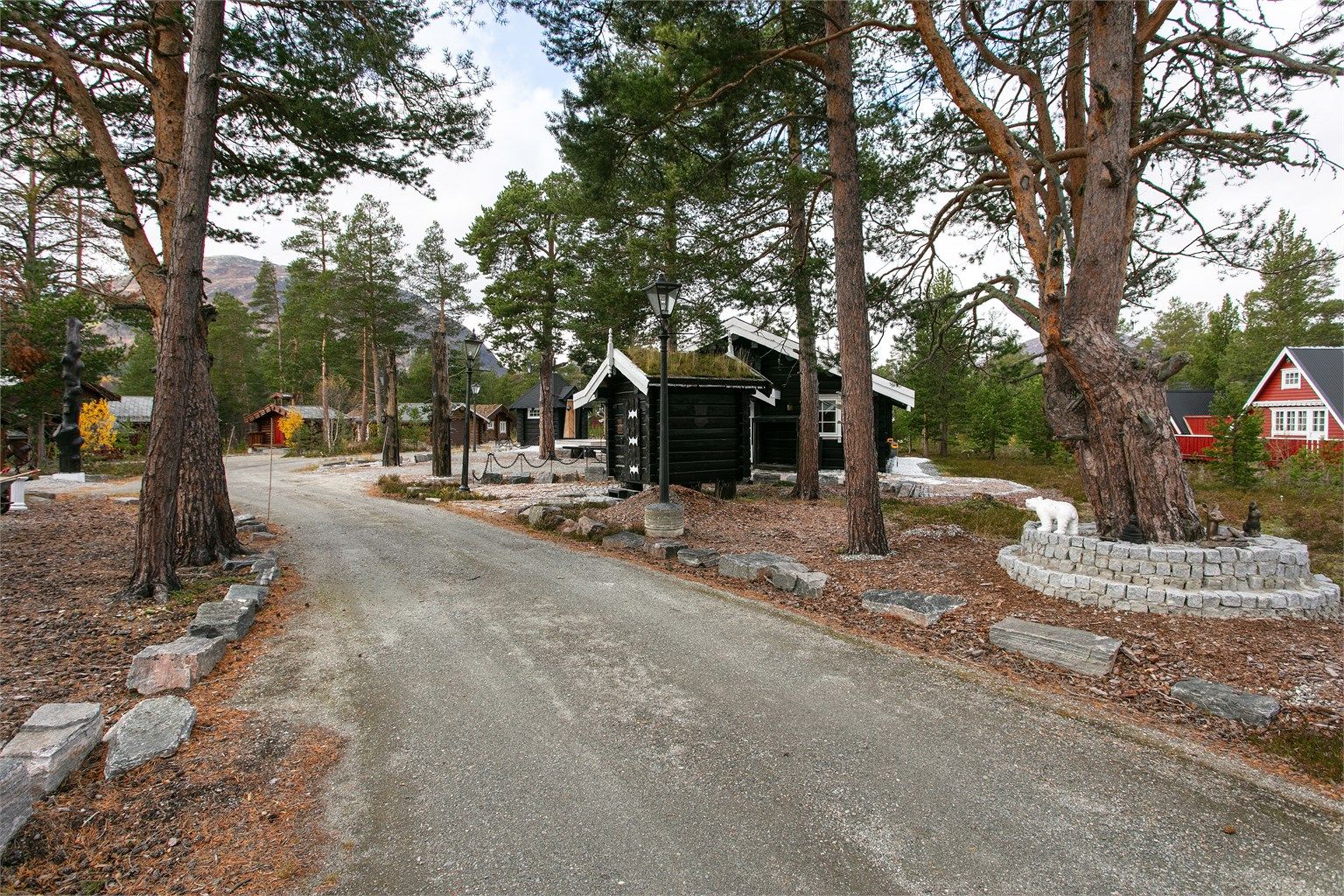 Adkomstvei til hytten