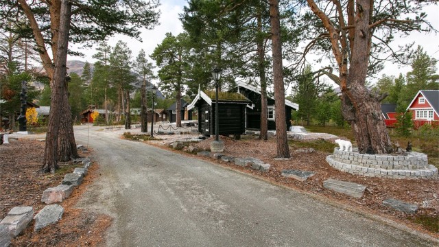 Adkomstvei til hytten
