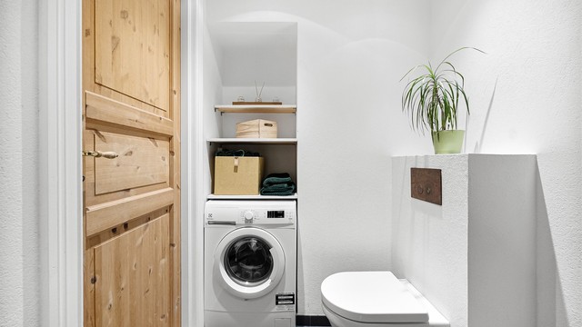 Vegghengt toalett med bronsefarget nedtrekker, samt opplegg for vaskemaskin.