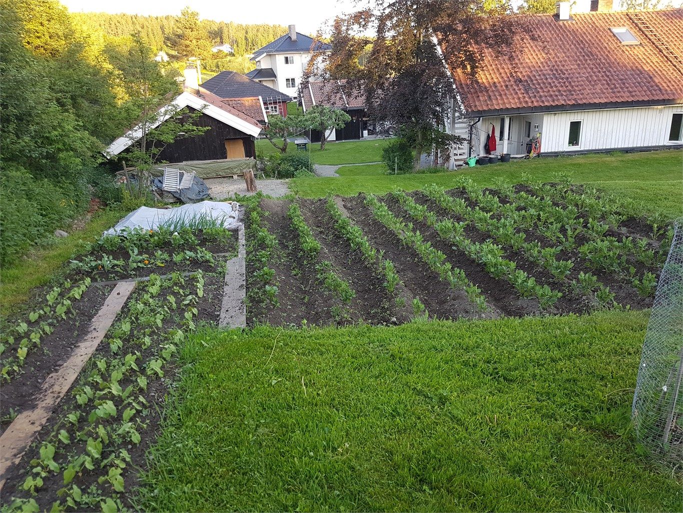 Hagen (Bilde fra selger)