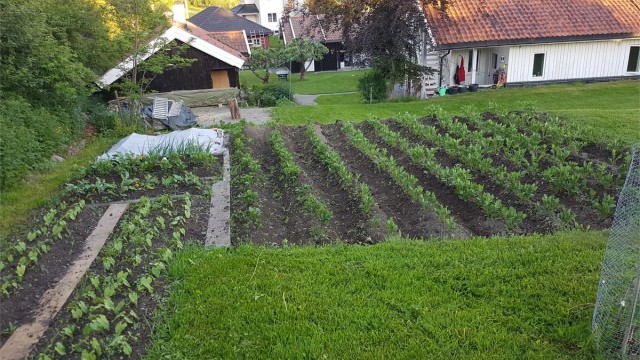 Hagen (Bilde fra selger)