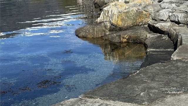 Brunstein badeplass ved fjorden - kun en kort spasertur unna, med fine badeplasser