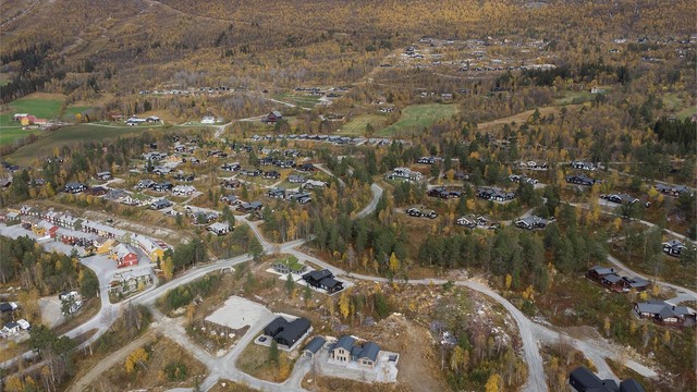 Dronebilde av hyttefeltet og nærområdet
