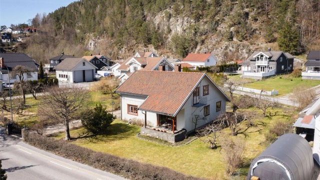 Flat og lettstelt hage med børbusker, trær og plen